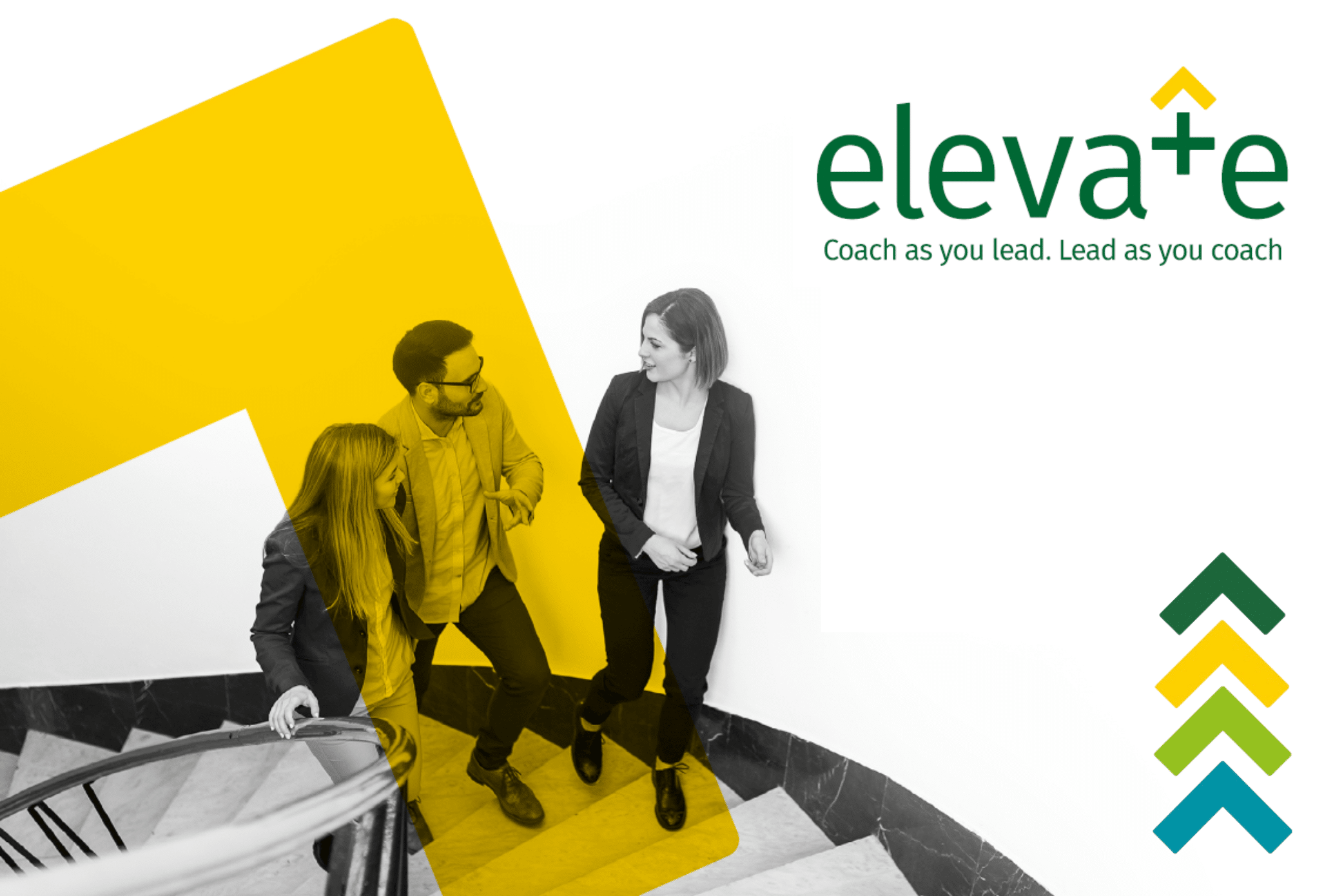 Elevate Guide: Leading and Coaching at the Highest Level. What the Course involves and if its the right course for you.